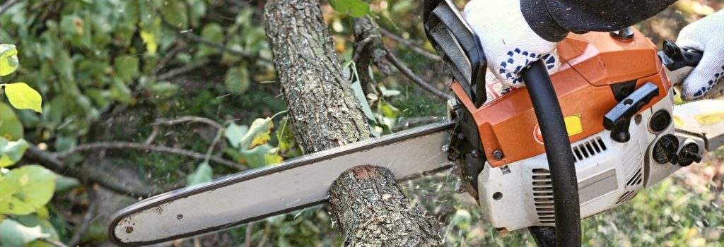 tree removal Services