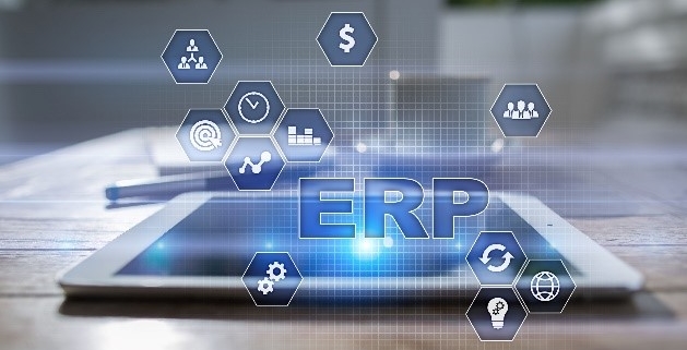 ERP Consultant